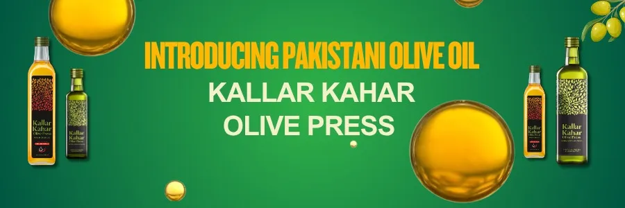 Olive Oil