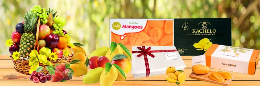 Omid Fruits