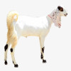 GOAT (12 TO 14KG NET WEIGHT)